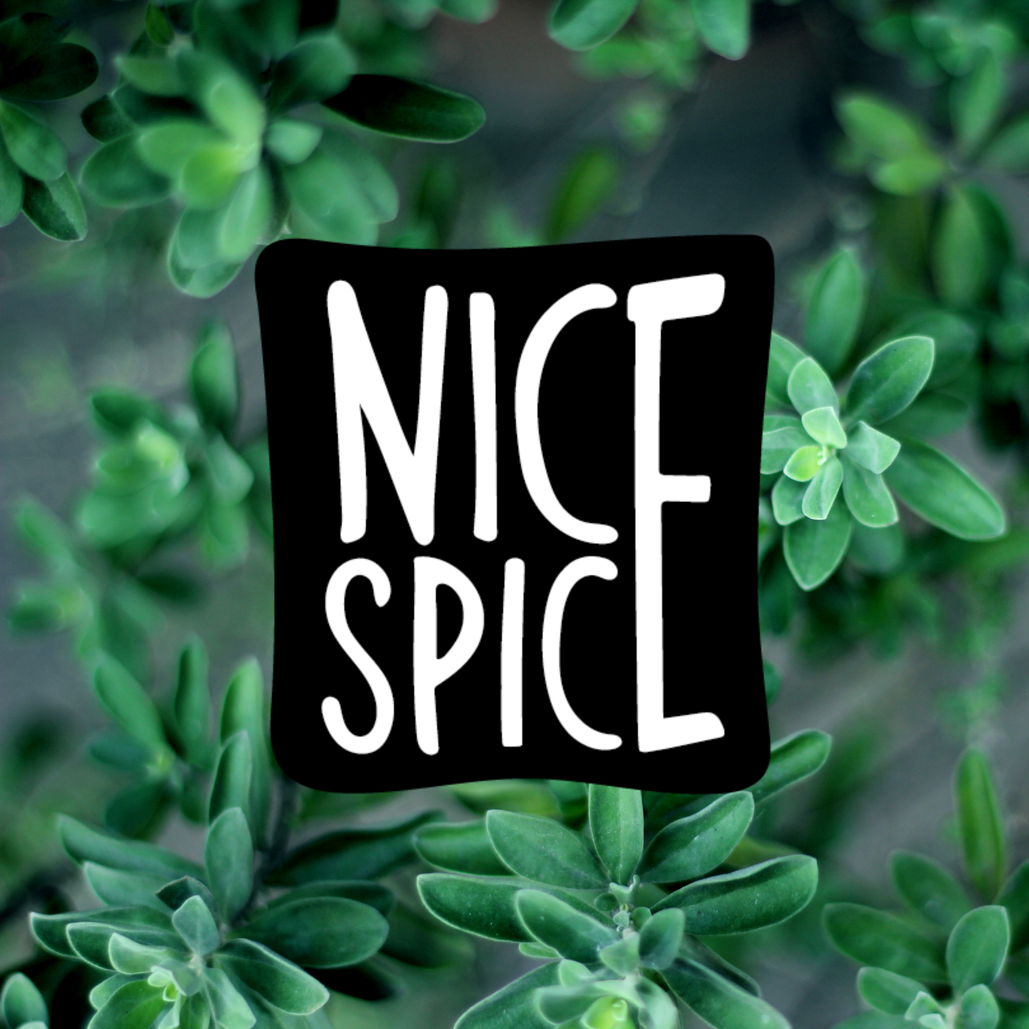 Thymian - Ein wirklich NICES SPICES!