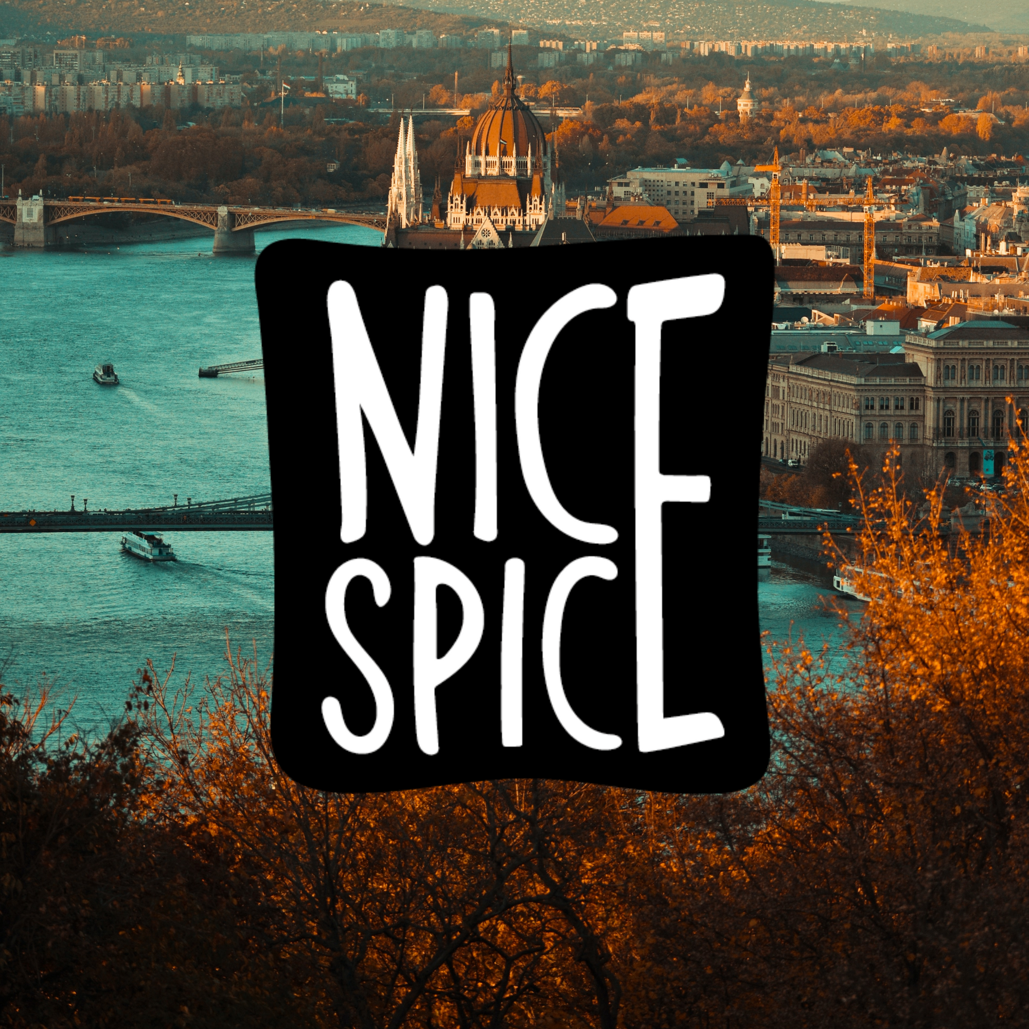 Nice Spice Logo vor Budapest