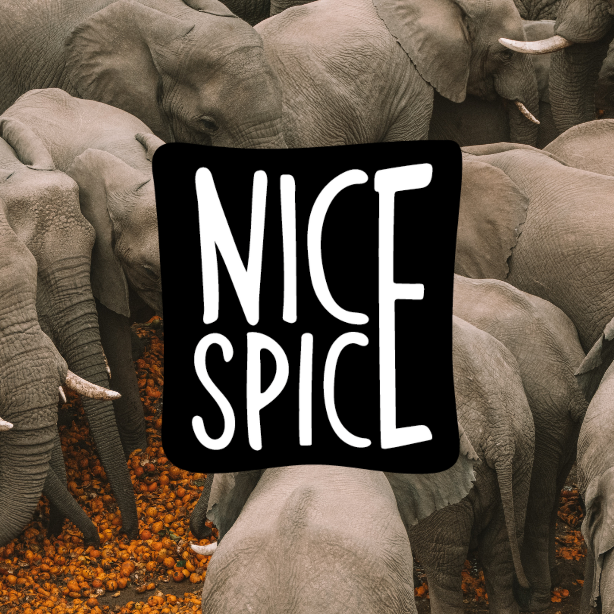 Nice Spice Logo mit Elefanten