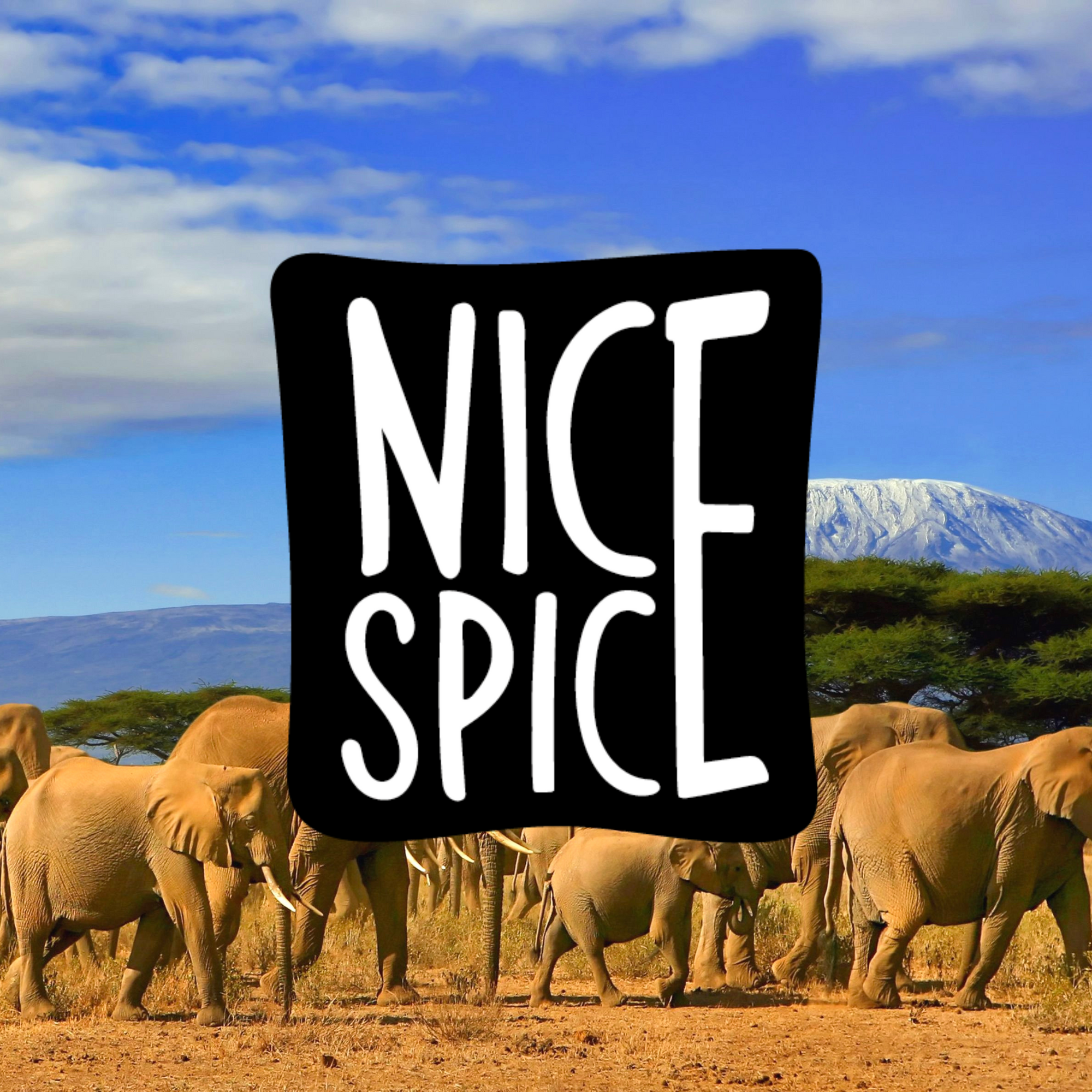 Tansania - Nice Welt!