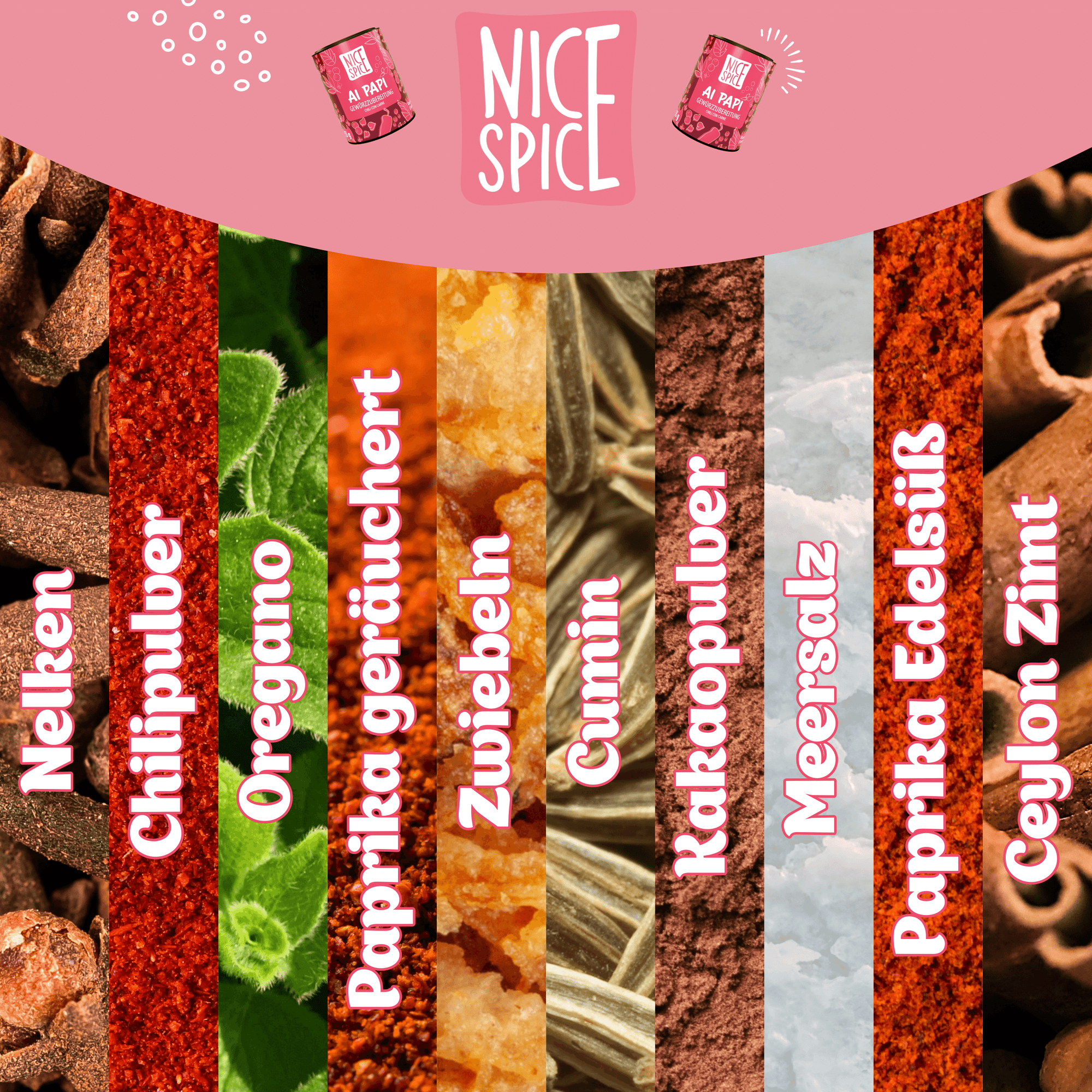NICE SPICE Chili con Carne Gewürz 15 x 65g
