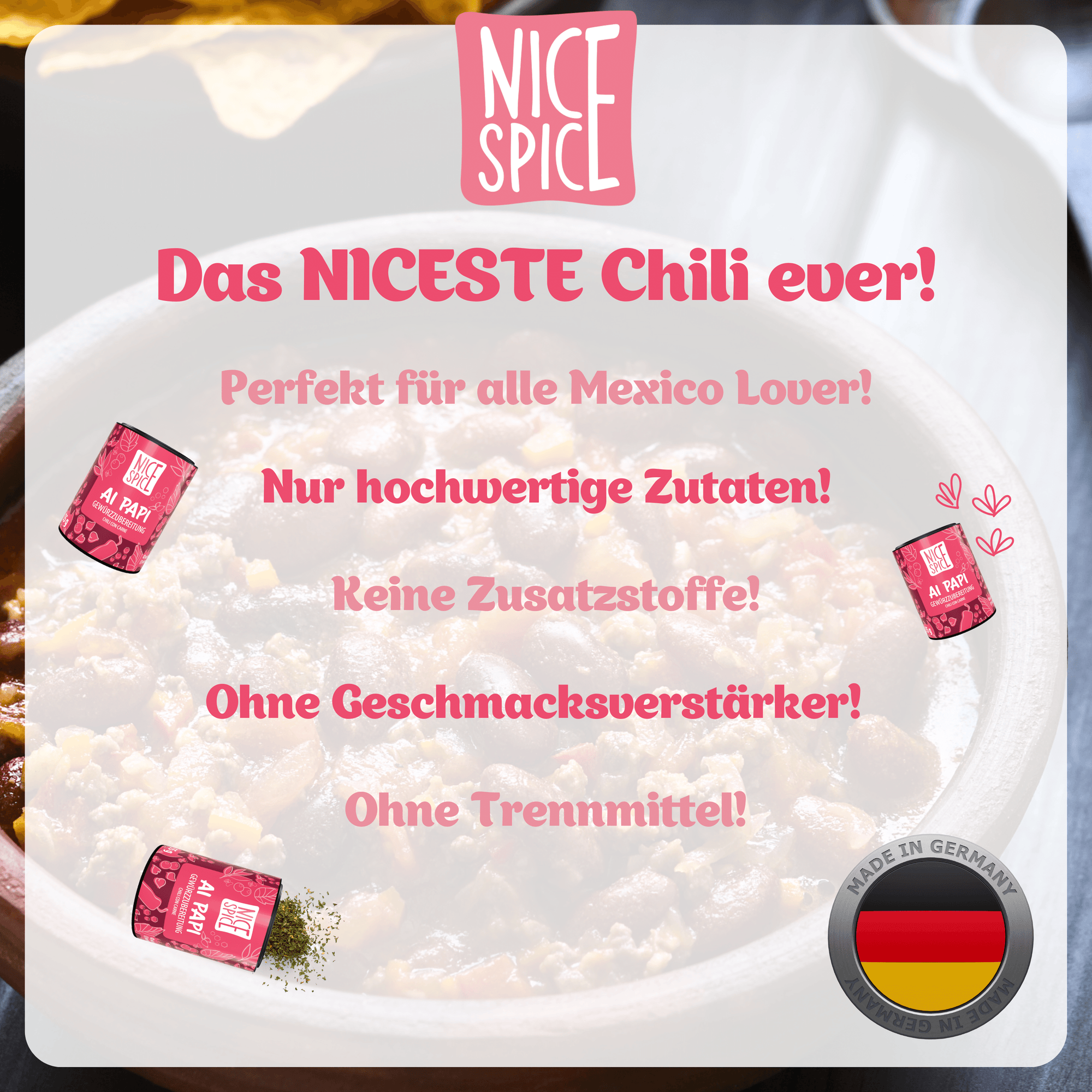 NICE SPICE Chili con Carne Gewürz 15 x 65g